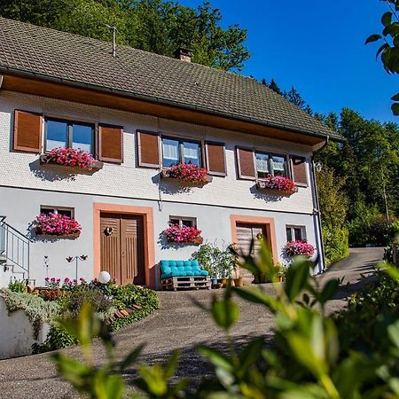 Haus Niedermaettle Apartment Oppenau Exterior photo