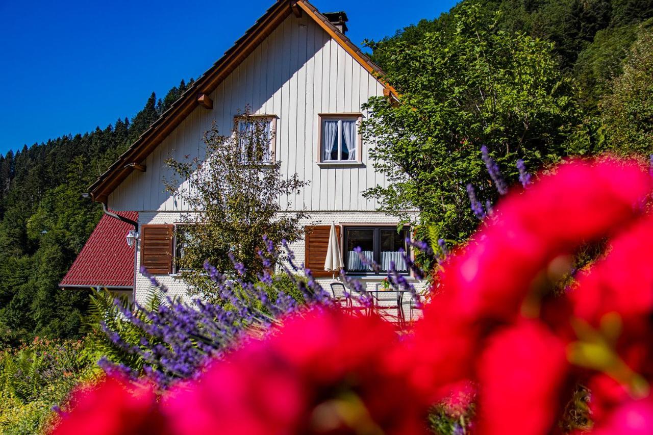 Haus Niedermaettle Apartment Oppenau Exterior photo